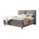 Hasena Boxspring-Bett Pronto Zamora Pace grey